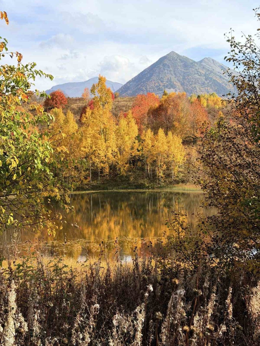 Artvin’de Sonbahar Manzaraları Öne Çıkıyor.. Yusufeli Barajı Dört Barajın Üretimini Artırdı!