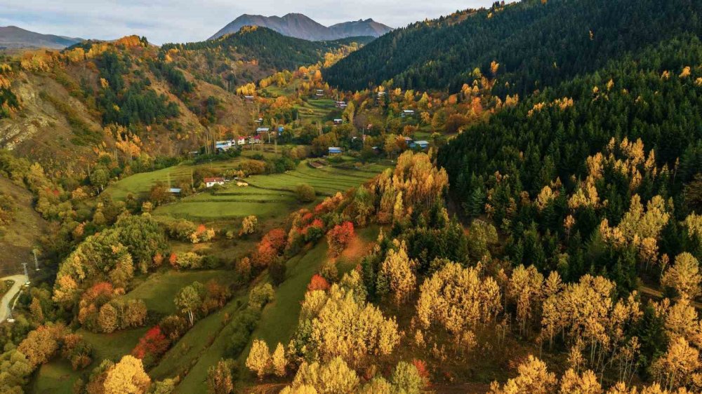 Artvin’de Sonbahar Manzaraları Öne Çıkıyor.. Yusufeli Barajı Dört Barajın Üretimini Artırdı!