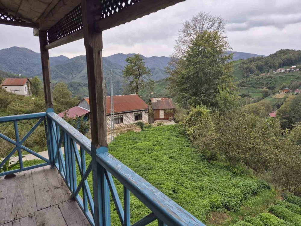 Borçka’da Eski Ahşap Evler Turizme Kazandırılıyor.. Odalara Şairlerin İsimleri Veriliyor!