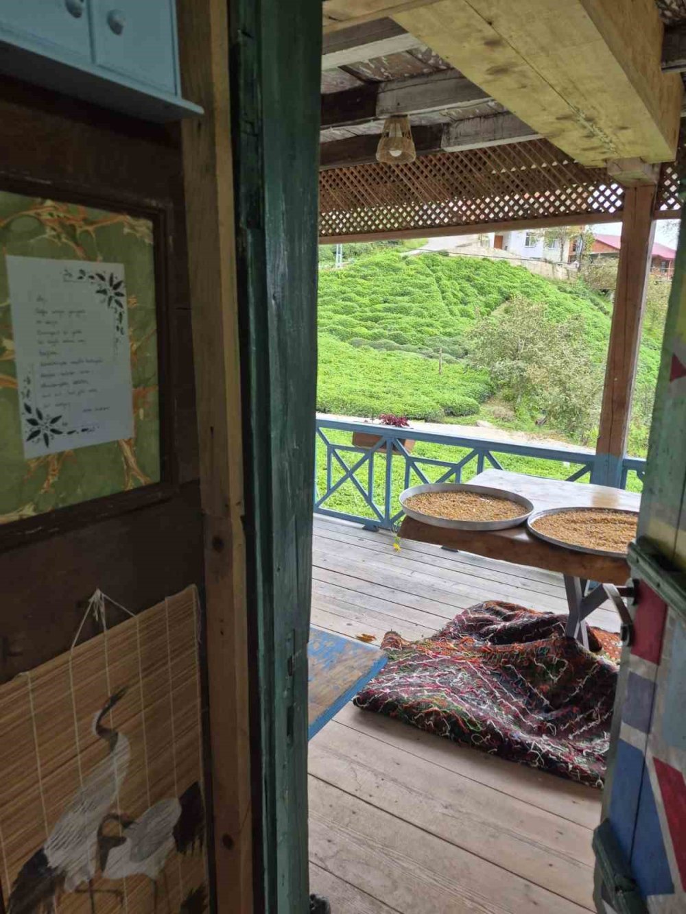 Borçka’da Eski Ahşap Evler Turizme Kazandırılıyor.. Odalara Şairlerin İsimleri Veriliyor!