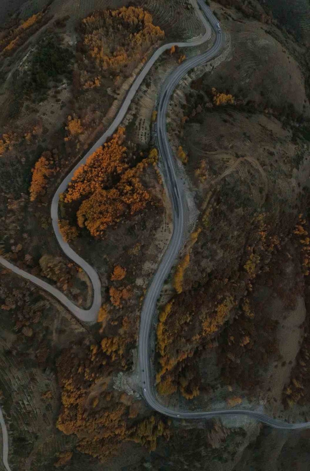 Erzurum-Bayburt Sınırındaki Kop Dağı'nda Sonbahar.. Renkler Havadan Görüntülendi!