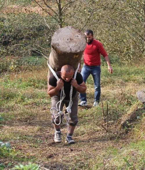 203 Kilogramlık Kütüğü Sırtında Taşıdı