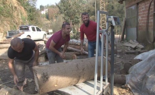 203 Kilogramlık Kütüğü Sırtında Taşıdı