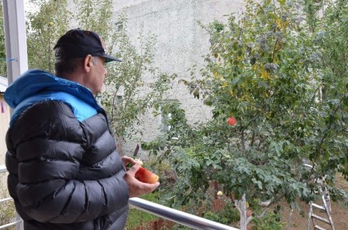 7 Yıl Sonra Gelen Esrarengiz Meyve