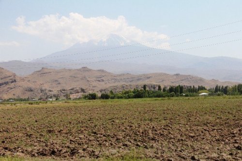 Ağrı Dağı’ndaki 386 Bitki Türü Kitaplaştırıldı