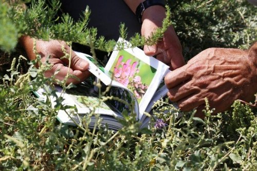 Ağrı Dağı’ndaki 386 Bitki Türü Kitaplaştırıldı