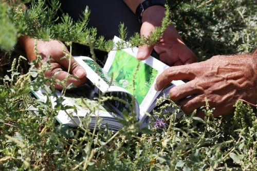 Ağrı Dağı’ndaki 386 Bitki Türü Kitaplaştırıldı