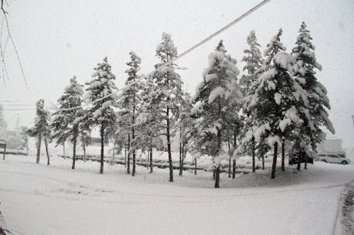 Ağrı’da Okullar Bir Gün Tatil Edildi