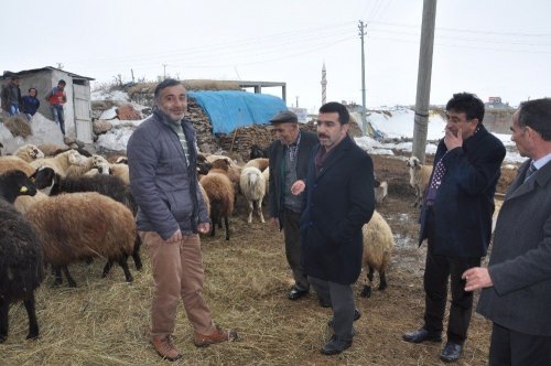 AK Parti'nin Referandum Çalışmaları