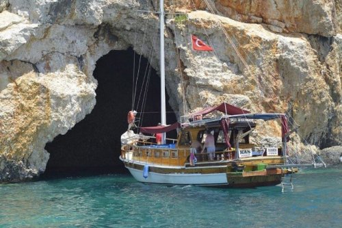Akdeniz Foklarını Rahatsız Etmek Resmen Yasaklandı