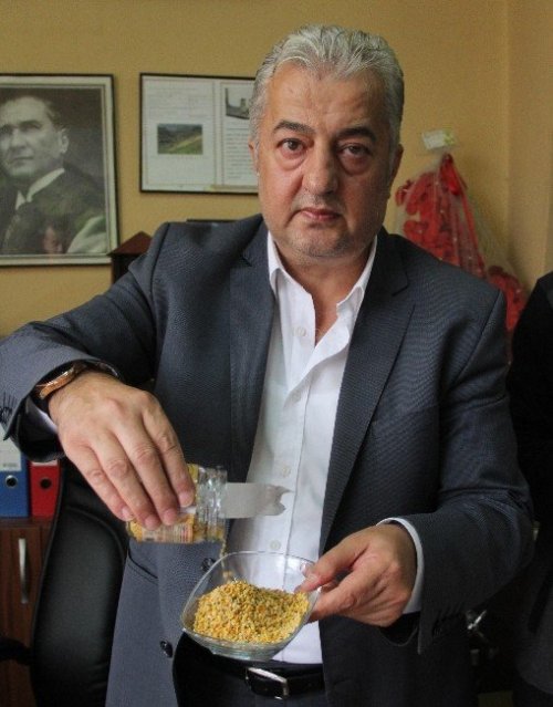 Anzer Balı’ndan Sonra Anzer Poleni
