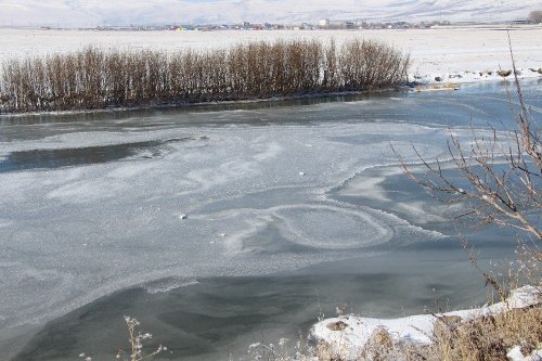 Ardahan Buz Tuttu