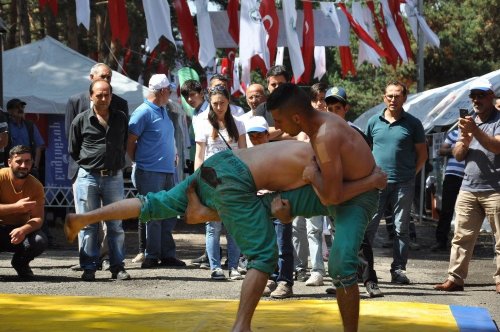 Ardahan'da Bal Festivali