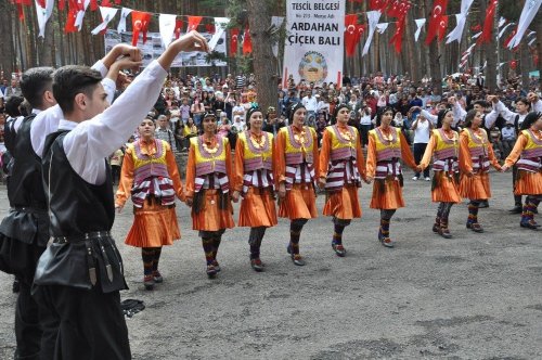 Ardahan'da Bal Festivali