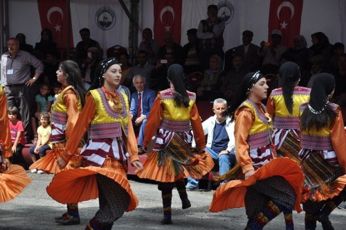 Ardahan'da Bal Festivali