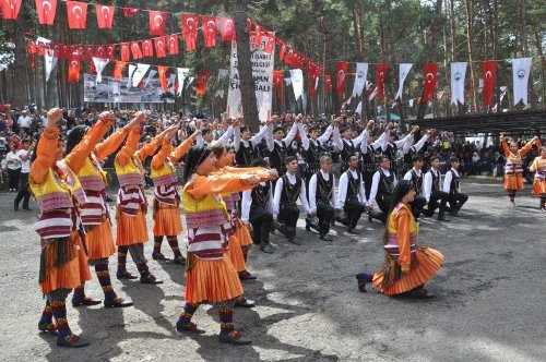 Ardahan'da Bal Festivali