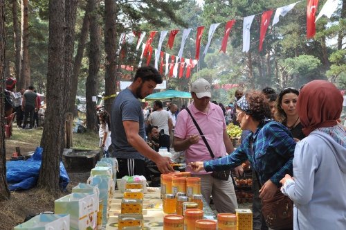 Ardahan'da Bal Festivali