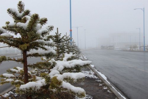 Ardahan’da Kar Sürprizi