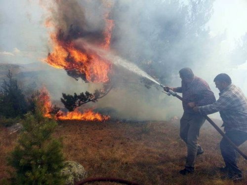 Ardahan’da Orman Yangını