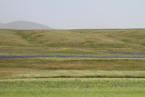 Ardahan’da Renk Cümbüşü