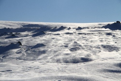 Ardahan’da Tipi Ulaşımı Olumsuz Etkiliyor