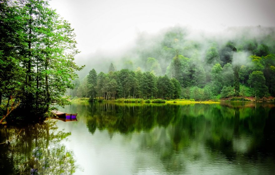 artvin.jpg