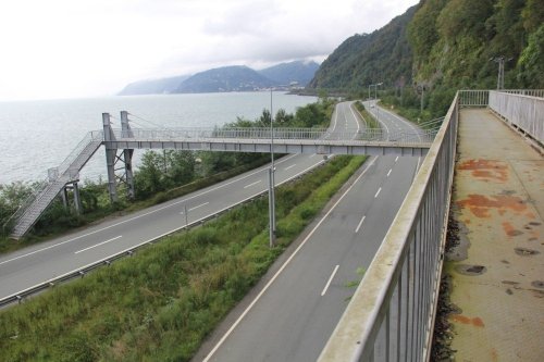 Artvin’de Labirent Gibi Bir Üst Geçit