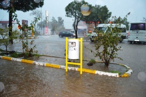 Ayvalık’ta Hortum Ağaçları Devirdi