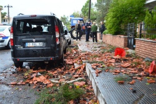 Ayvalık’ta Hortum Ağaçları Devirdi