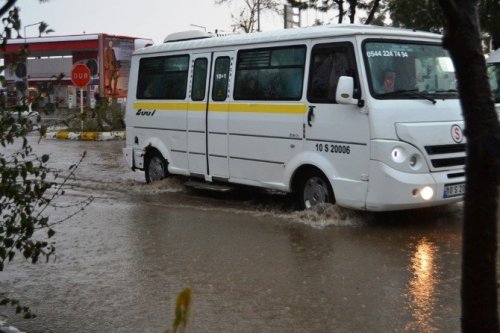 Ayvalık’ta Hortum Ağaçları Devirdi