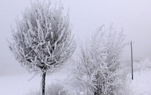 'Bölge'de Hava Sıcaklığı Düştü