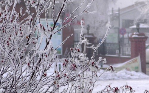 'Bölge'de Hava Sıcaklığı Düştü