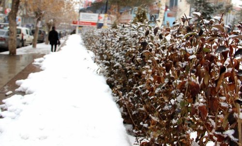 ‘Bölge’de Kar Yağışı Başladı