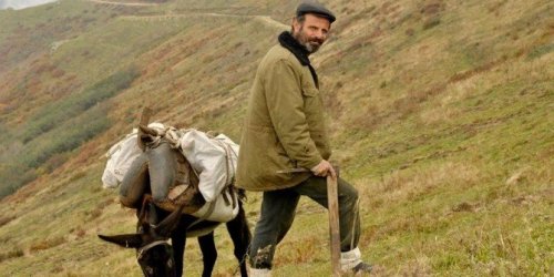 Bu Filmde Karadeniz Komedisi ve Gişe Kaygısı Yok