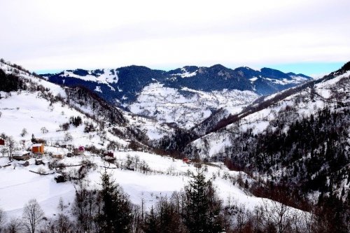 Burası Alpler Değil, Karadeniz Yaylaları