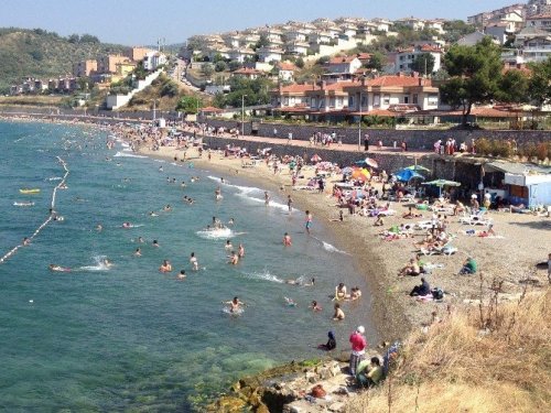 Bursa Sahillerinden Güzel Haber