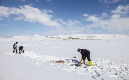 Buz Kaplı Gölde ‘Eskimo’ Usulü Balık Avı