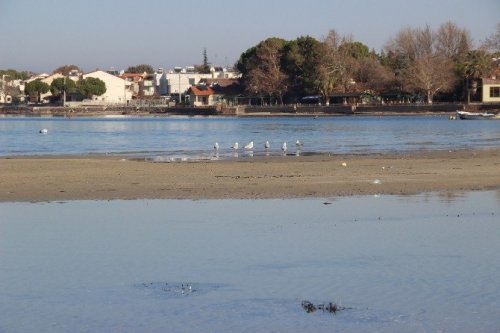 Çanakkale’de Deniz 20 Metre Çekildi