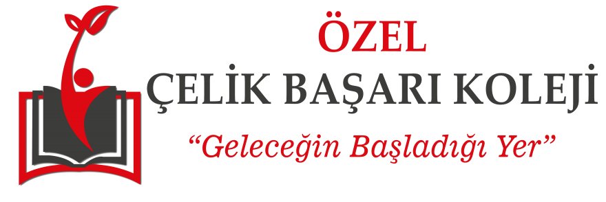 celik-basari.png