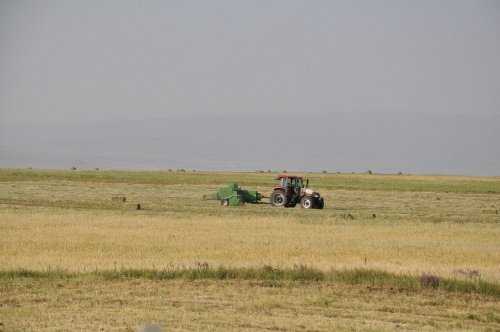 Çiftçilerin Hasat Mesaisi Başladı