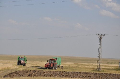 Çiftçilerin Hasat Mesaisi Başladı