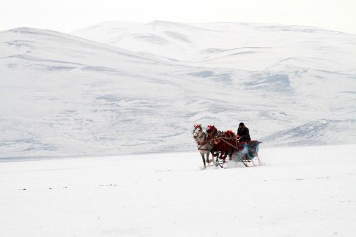 Çıldır Gölü'nde Renkli Görüntüler