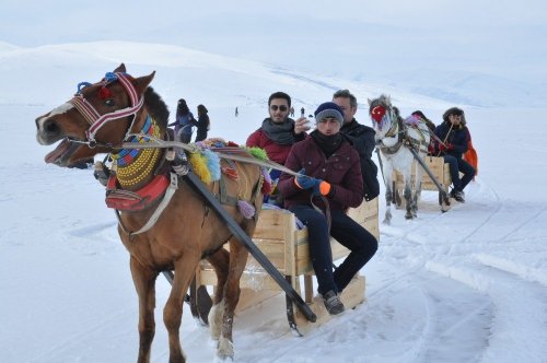 Çıldır Gölü’ne Ziyaretçi Akını