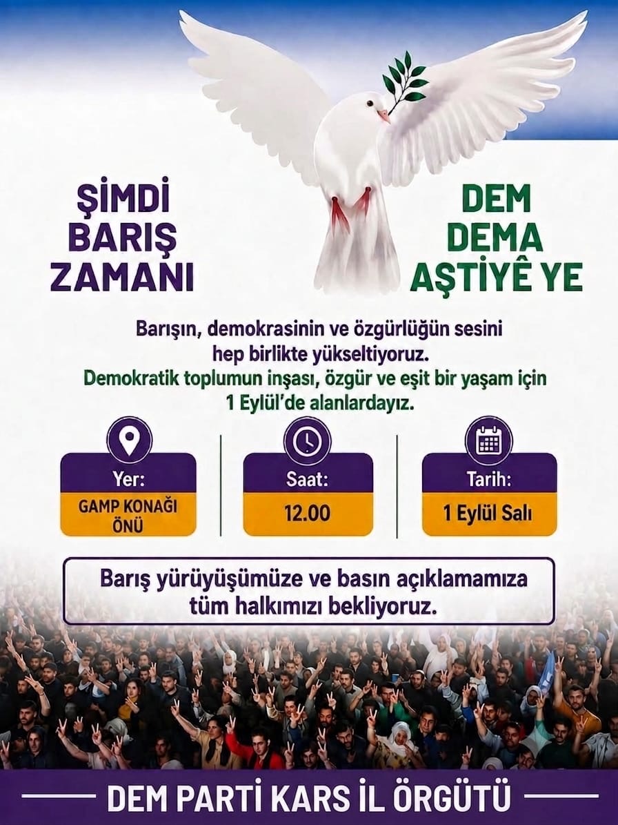 dem-parti-017.jpeg