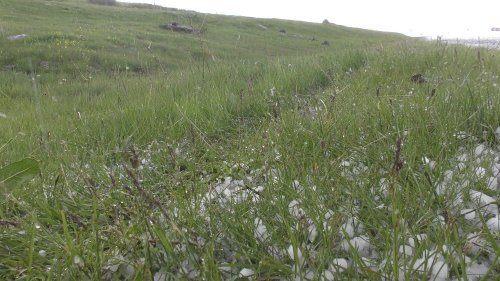 Dolu, Tarım Arazilerine Zarar Verdi