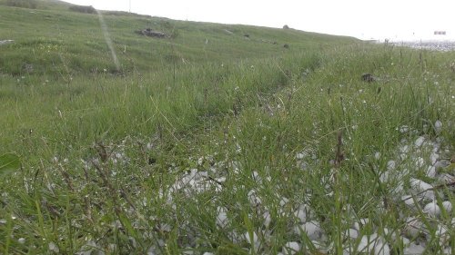 Dolu, Tarım Arazilerine Zarar Verdi