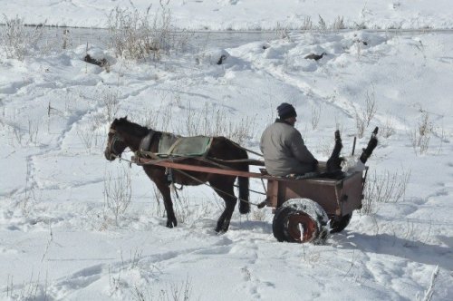 Eksi 20’de Balık Avlıyorlar