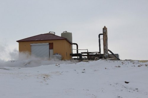 Eksi 40 Derecede Domates Üretiliyor