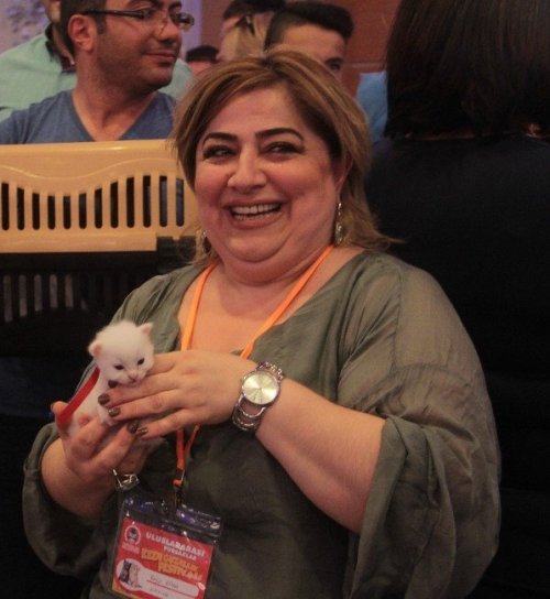 En Güzel Kediler Yarıştı