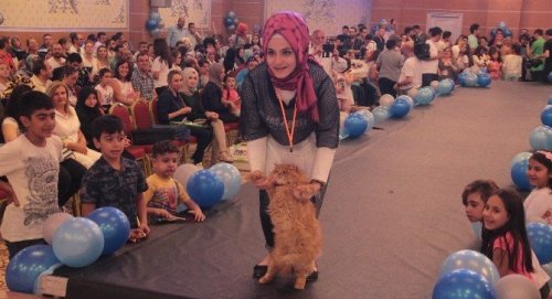 En Güzel Kediler Yarıştı